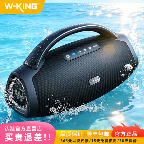 户外露营垂钓便携K歌低音炮