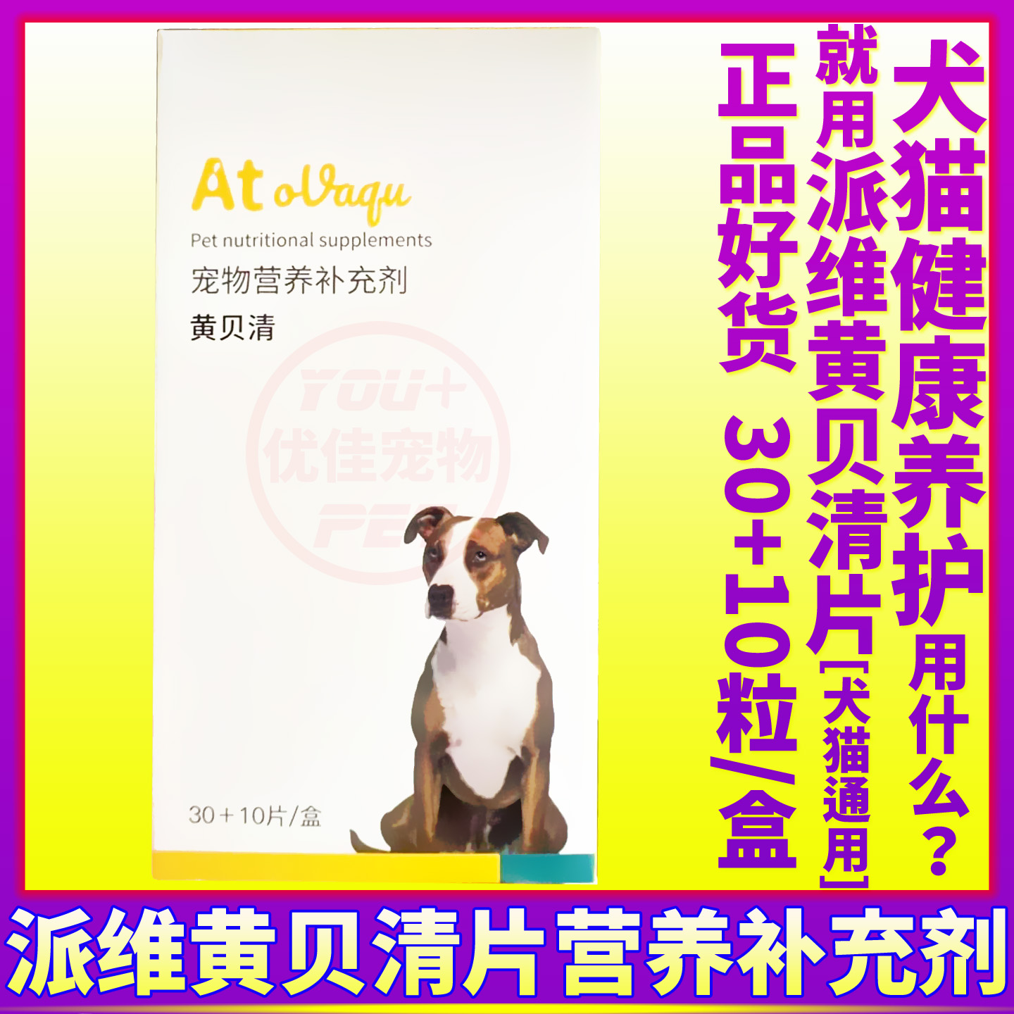 宠物猫狗用品派维黄贝清口服片剂