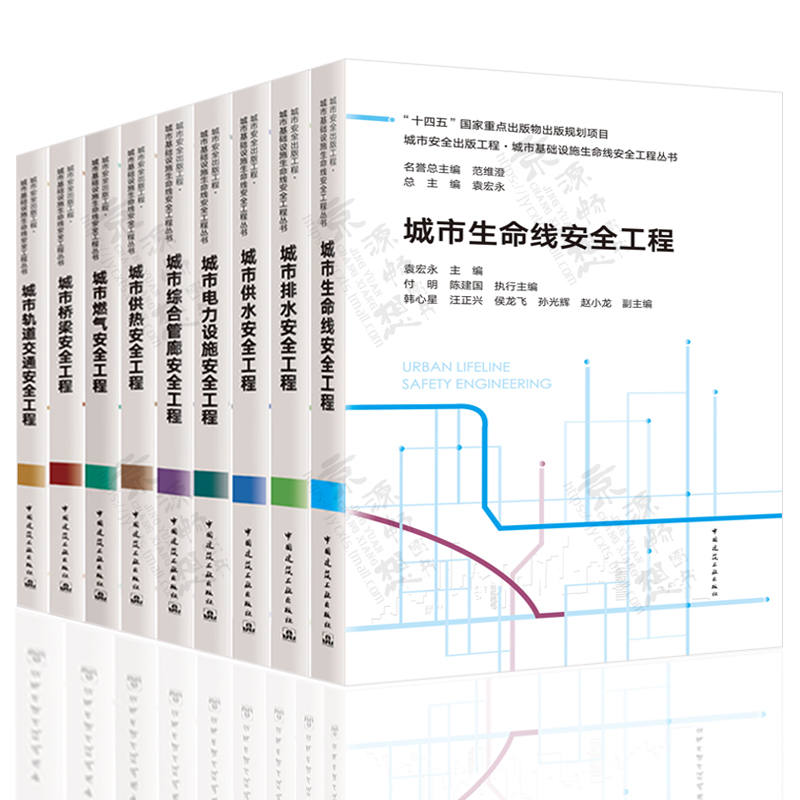 任选城市安全出版工程 城市基础设施生命线安全工程丛书 电力设施供热供水排水轨道交通桥梁燃气生命线城市管廊安全工程 正版