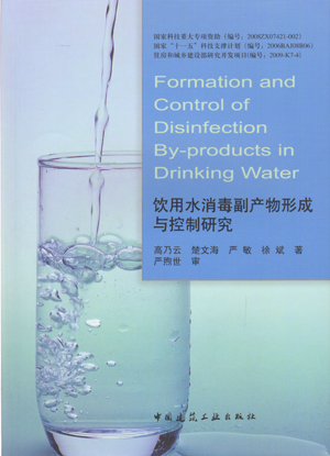 饮用水消毒副产物形成与控制研究 有机物性质与消毒副产物关系 消毒副产物在水处理过程中的变化  高乃云 楚文海 严敏 徐斌 著 书籍/杂志/报纸 环境科学 原图主图