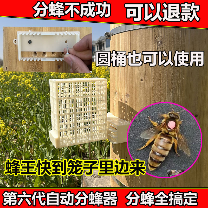 新款分蜂神器中蜂自动分蜂