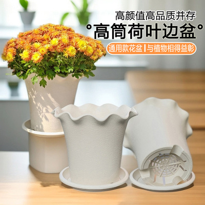 高筒荷叶边盆绿植通用PP树脂花盆