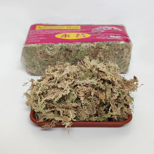 粗花水苔蝴蝶兰多肉育苗营养土