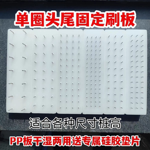 勿里达核心产区老树王金刚单圈头尾固定刷板大小金刚PP板干湿两用