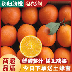 秭归脐橙纽荷尔脐橙新鲜水果橙子应当季秭果冻橙甜脐橙3/5/8.5斤