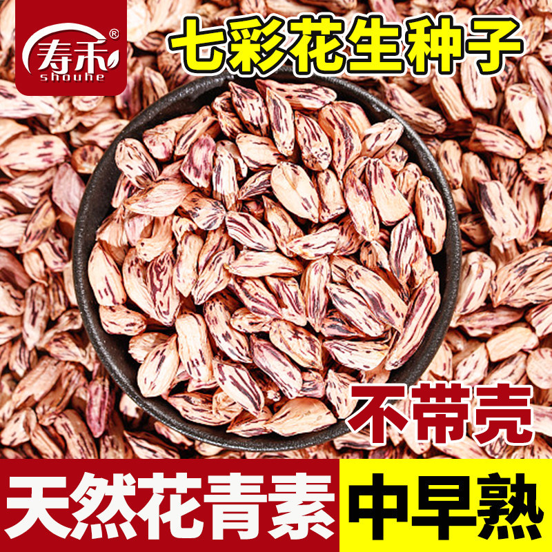 七彩花生种子高产紫皮花生米薄壳紫花生种籽黑高端南方大粒老品种图片