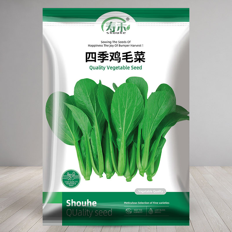 速生鸡毛菜上海青菜种小白菜香菜菜籽四季阳台盆栽籽种蔬菜种子孑