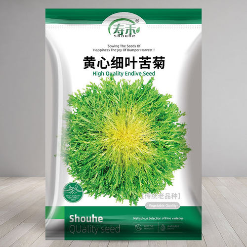 寿禾四季黄心细叶苦菊种子
