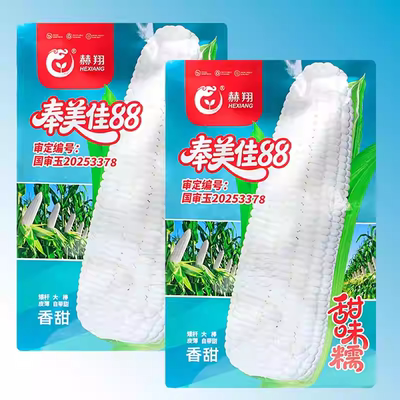 奉美佳88甜糯玉米种子白甜糯皮薄香甜种籽春秋播矮杆大棒国审种孑