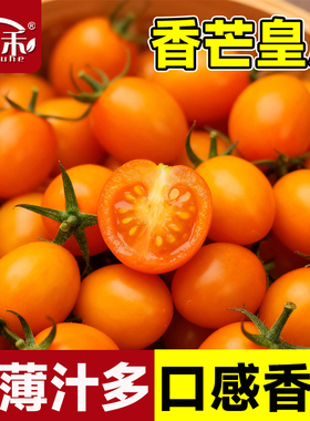 香芒皇后小番茄种子西红柿种籽高端蔬菜孑苗秧黄色水果圣女果籽种