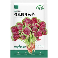 Светло -пурпурный цветок красный круглый лист амарант семя 10 г/сумка