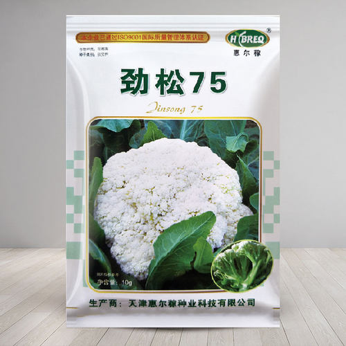 青梗松花菜种子有机菜花秋季