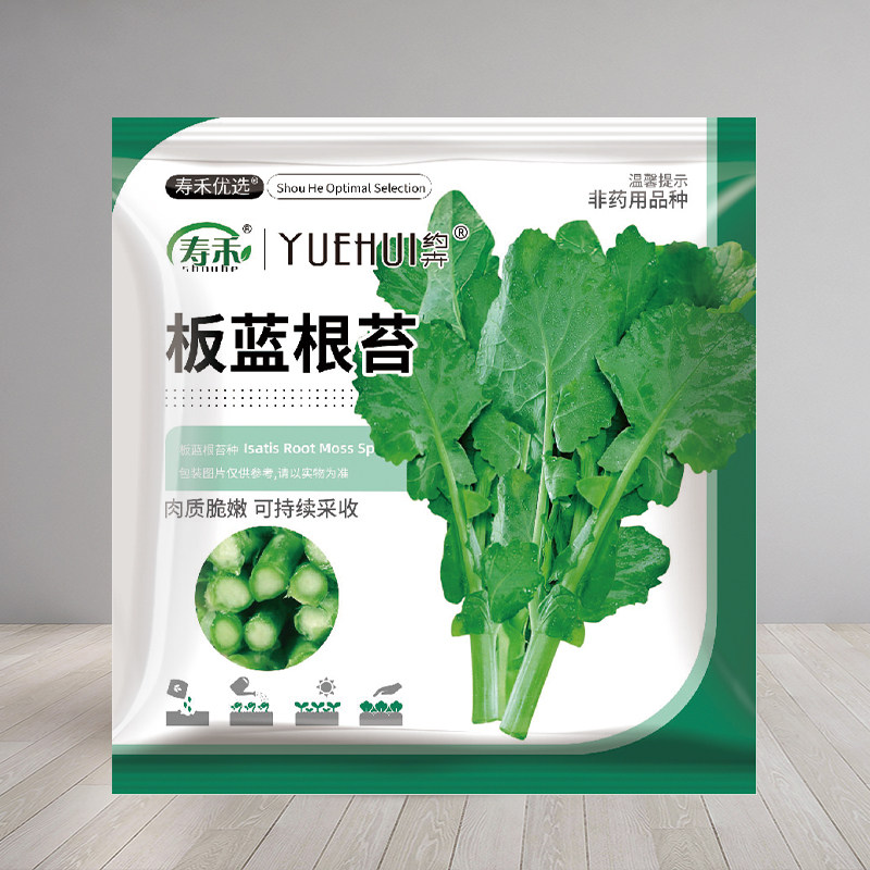 高端板蓝根菜苔青菜种子甜菜心菜苔四季播种菜籽适合春天种的菜