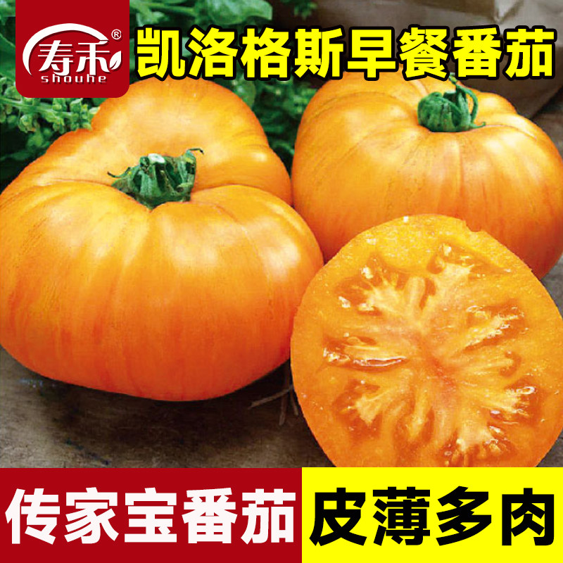 传家宝番茄种子凯洛格斯早餐盆栽阳台庭院老品种种籽蔬菜大西红柿