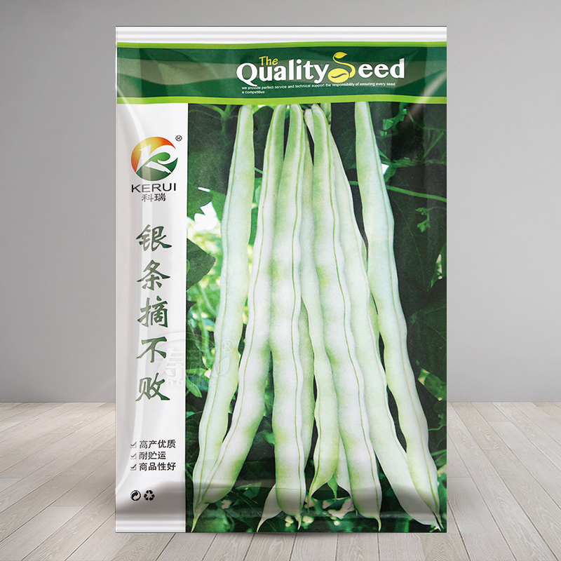 高产摘不败白芸豆四季豆