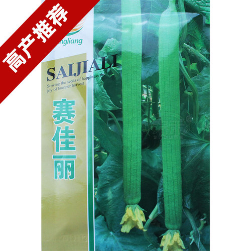 高产带花早熟特大丝瓜种子