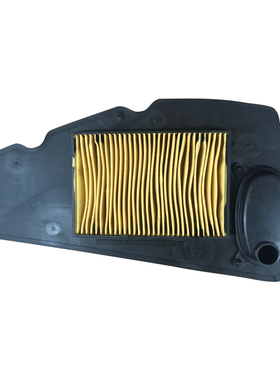 适用本田佛沙250 NSS250 Forza250X / EX 05-07空气滤芯