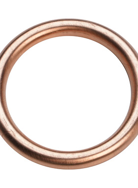 适用本田CRF450R CRF450RX CRF450X CMX Rebel 300排气管垫 48mm