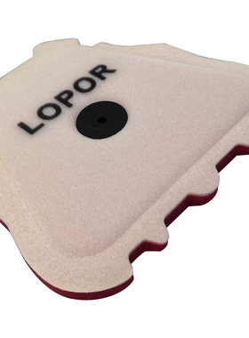 适用Yamaha YZ450F 18-21 YZ250F 19-21 WR250F WR450F空气滤芯