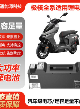 极核AE4 AE4max AE5ipro ez3i AE7 AE8 MO1电摩通用锂电池