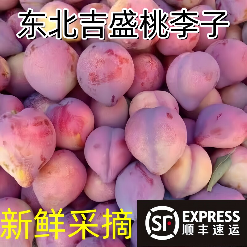 桃李子东北特产吉盛桃李子新鲜干核干碗鸡心脱骨李子酸甜应季水果