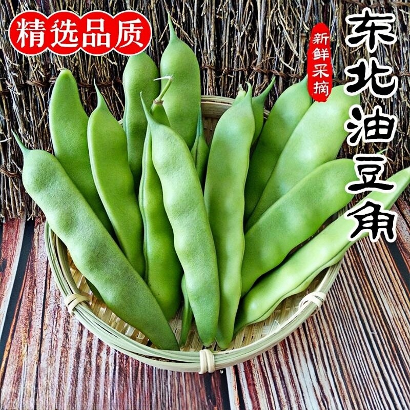 东北九月青现摘油豆角开锅烂图片