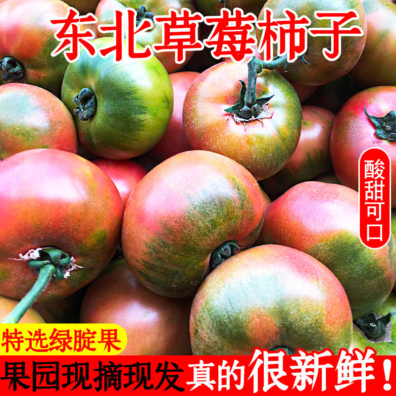 铁皮柿子新鲜草莓柿子