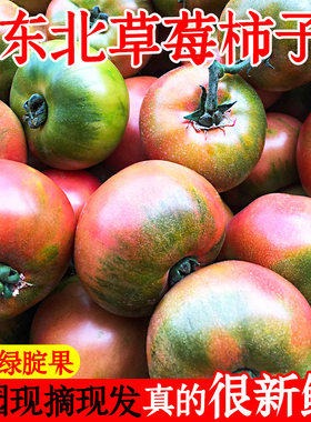 铁皮柿子新鲜草莓柿子
