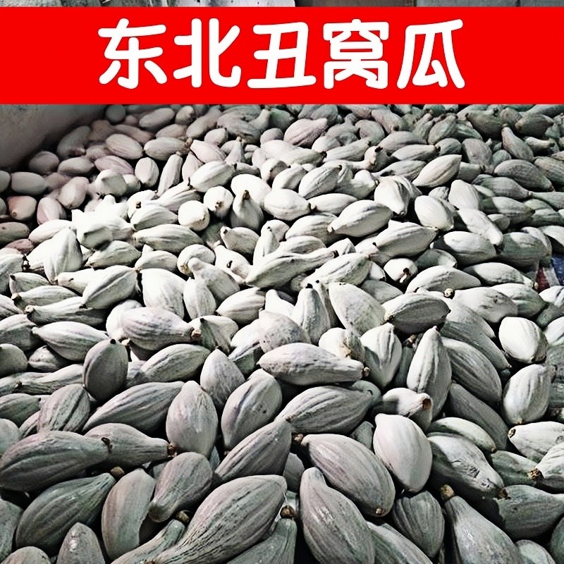 东北丑窝瓜当季贵族南瓜新鲜蔬菜沙漠南瓜宝宝辅食粉糯甜面倭瓜