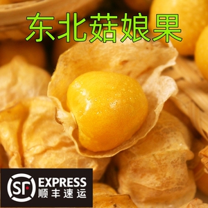姑娘东北特产黄菇娘果新鲜灯笼果甜果黄金豆应季水果菇茑现摘现发
