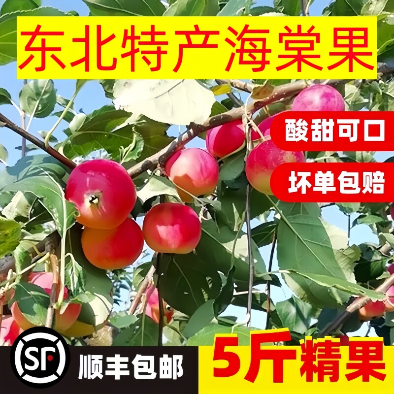 东北特产海棠果k9沙果新鲜小苹果酸甜爽脆粉应季水果冰糖心花红果