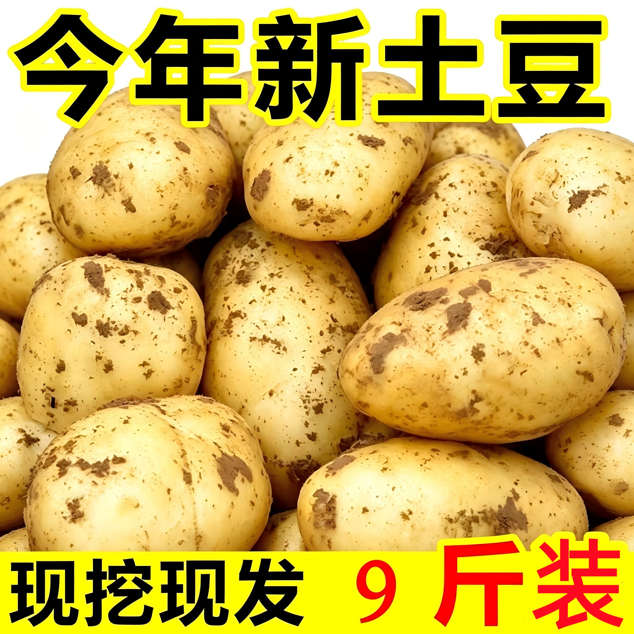 东北黄心大土豆新鲜面土豆