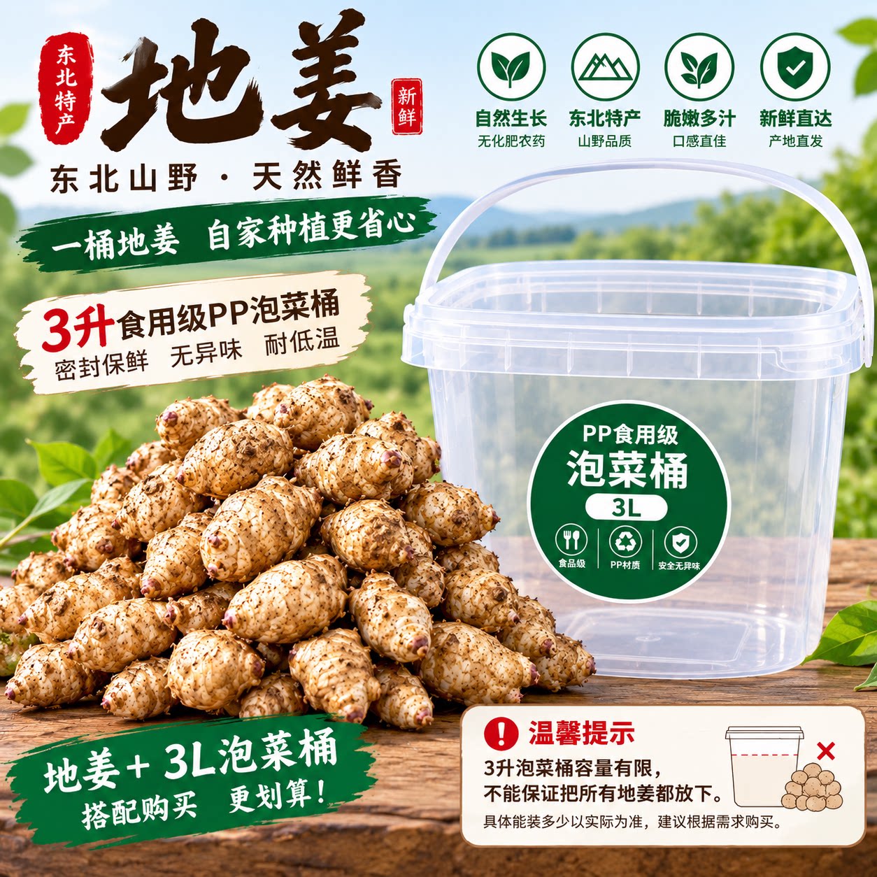 东北辽宁野生食用农产品鬼子姜地姜 洋姜现挖现发