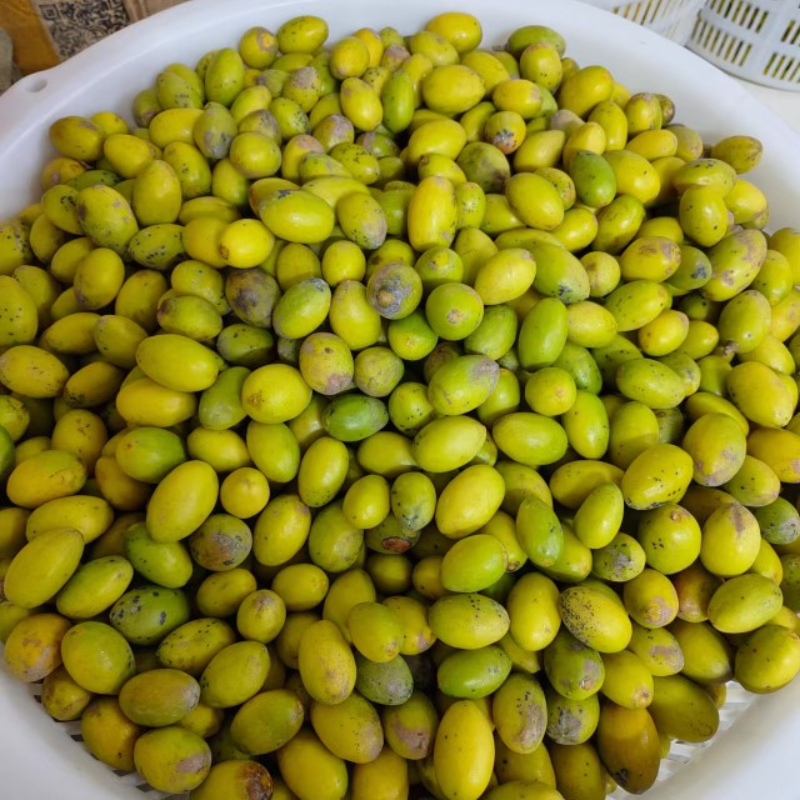 金灶正宗新鲜采摘花皮三棯橄榄三棱橄榄生吃泡酒煲汤