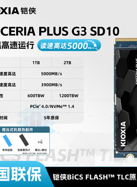 铠侠SD10固态硬盘1T m.2 NVMe台式电脑笔记本ssd固态盘pcie4.0 m2