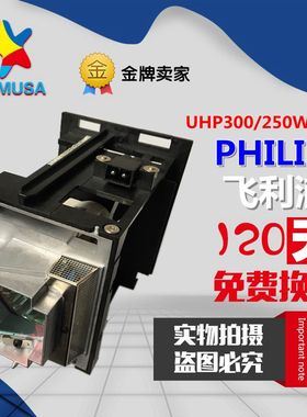 SMARTBOARD UX80/UX80HD投影机仪灯泡1018740