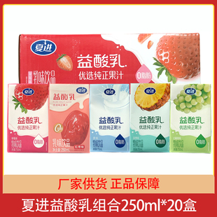 夏进益酸乳原味草莓红枣菠萝牛奶饮品250ml*20盒酸奶儿童成人早餐
