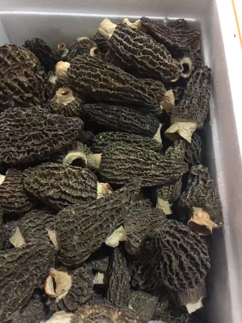 500g云南野生煲汤羊肚菌干货