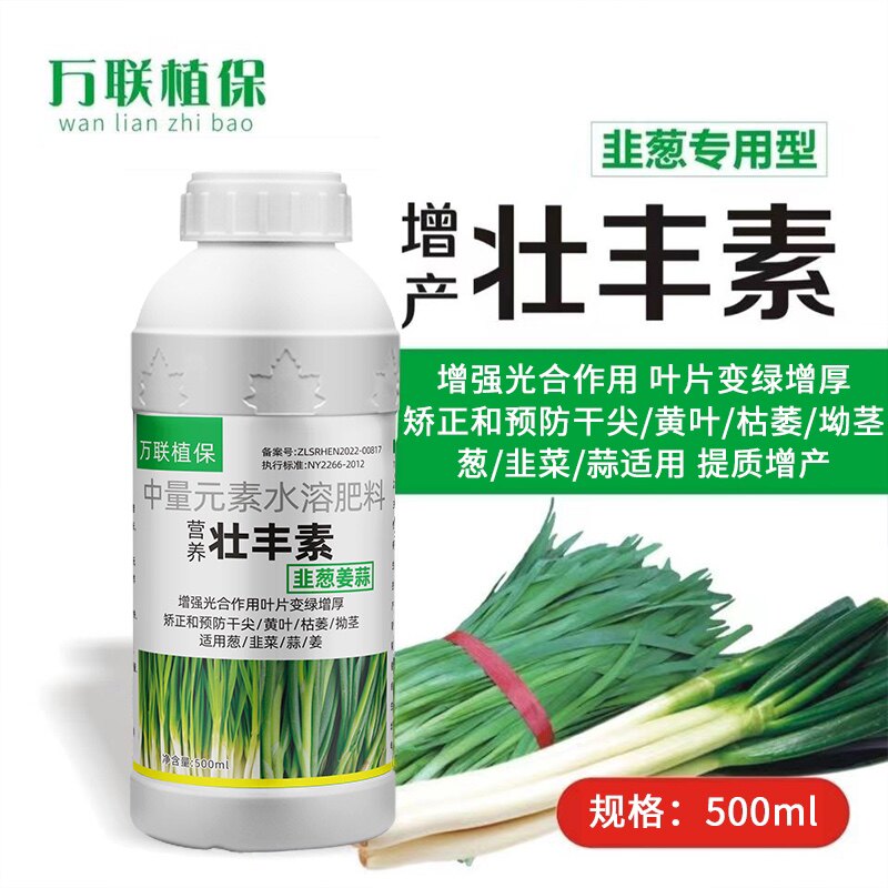 香葱小葱干尖灵黄叶烂尾黄尾一喷叶面肥