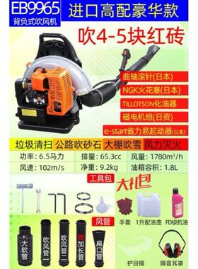 EB430园林工程树叶吹扫机森林风力灭火机背负式专用路面吹雪机