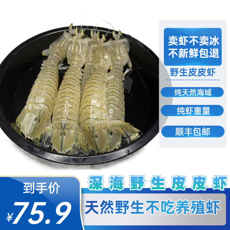 国产现捕野生皮皮虾1500g濑尿虾爬爬虾海鲜富贵虾活冻虾蛄包邮