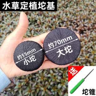 水草定植坨基泥坨水草定植坨泥底坨扦插定植DIY自作草坨营养底座