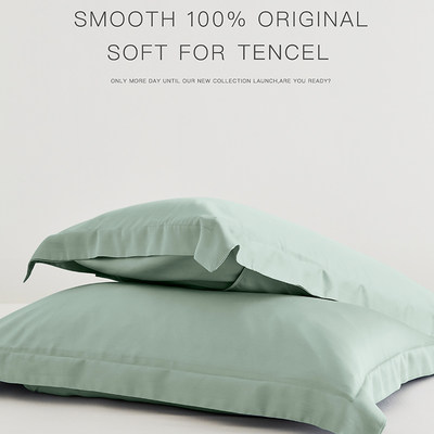 简约高支天丝纯色枕套一对装夏季凉感冰丝枕头套48X74cm真丝质感