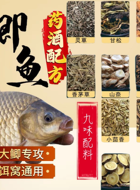 钓鱼中药材六君子窝料