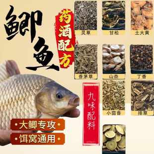野钓六君子钓鱼中药材泡酒鲫鲤鱼小药诱鱼饵料窝料阿魏丁香泡酒米