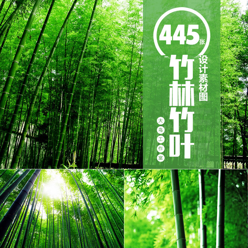 清雅竹林竹叶设计素材大图竹子竹叶平面设计中式竹子背景图jpg