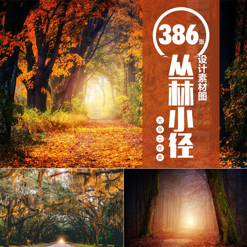 丛林小径素材大图神秘森林小路自然风景jpg图片