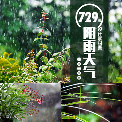 阴雨天气下雨素材大图阴雨天雨水乌云密布自然景观摄影图片