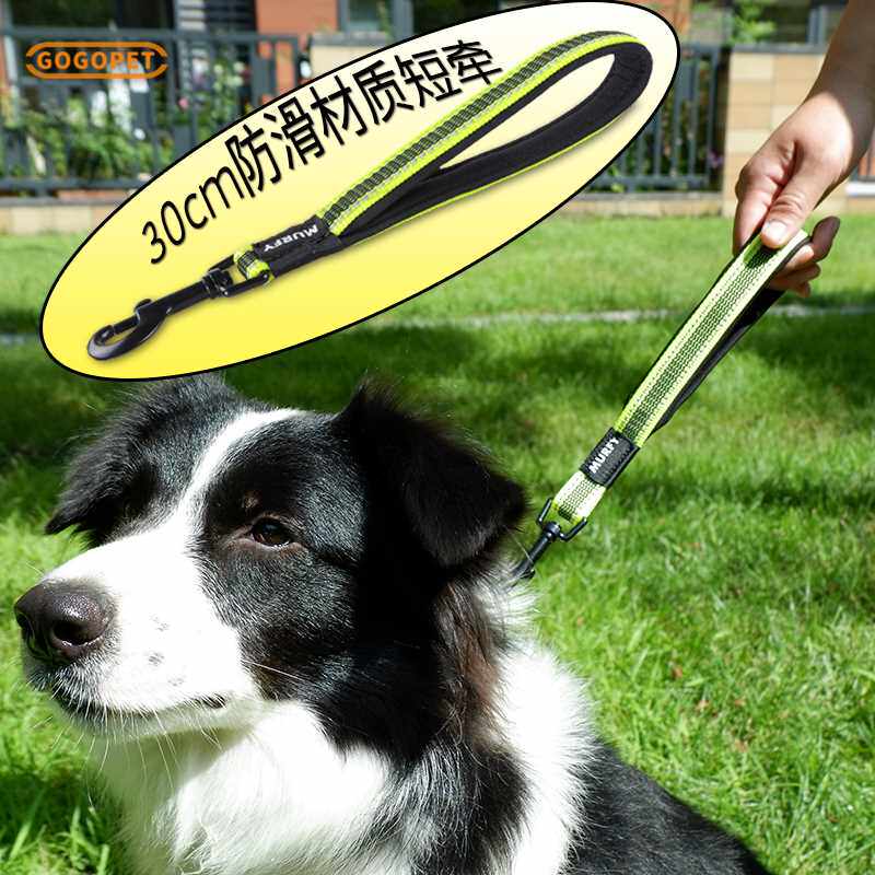 宠物训犬短牵中大型犬一步牵金毛德牧马犬牵引绳狗绳带锦纶遛狗链