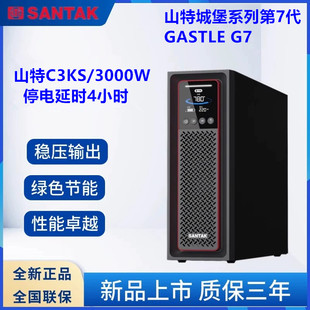 延时4小时 C3KS 3KVA 3000W 8只 山特 电池100AH UPS不间断电源